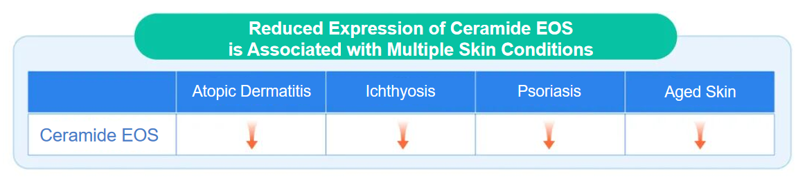 Dieckmann Announces First NMPA Filing of Ceramide EOS in China(图3)