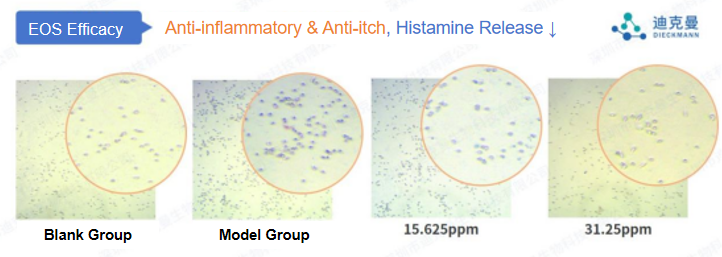 Dieckmann Announces First NMPA Filing of Ceramide EOS in China(图4)