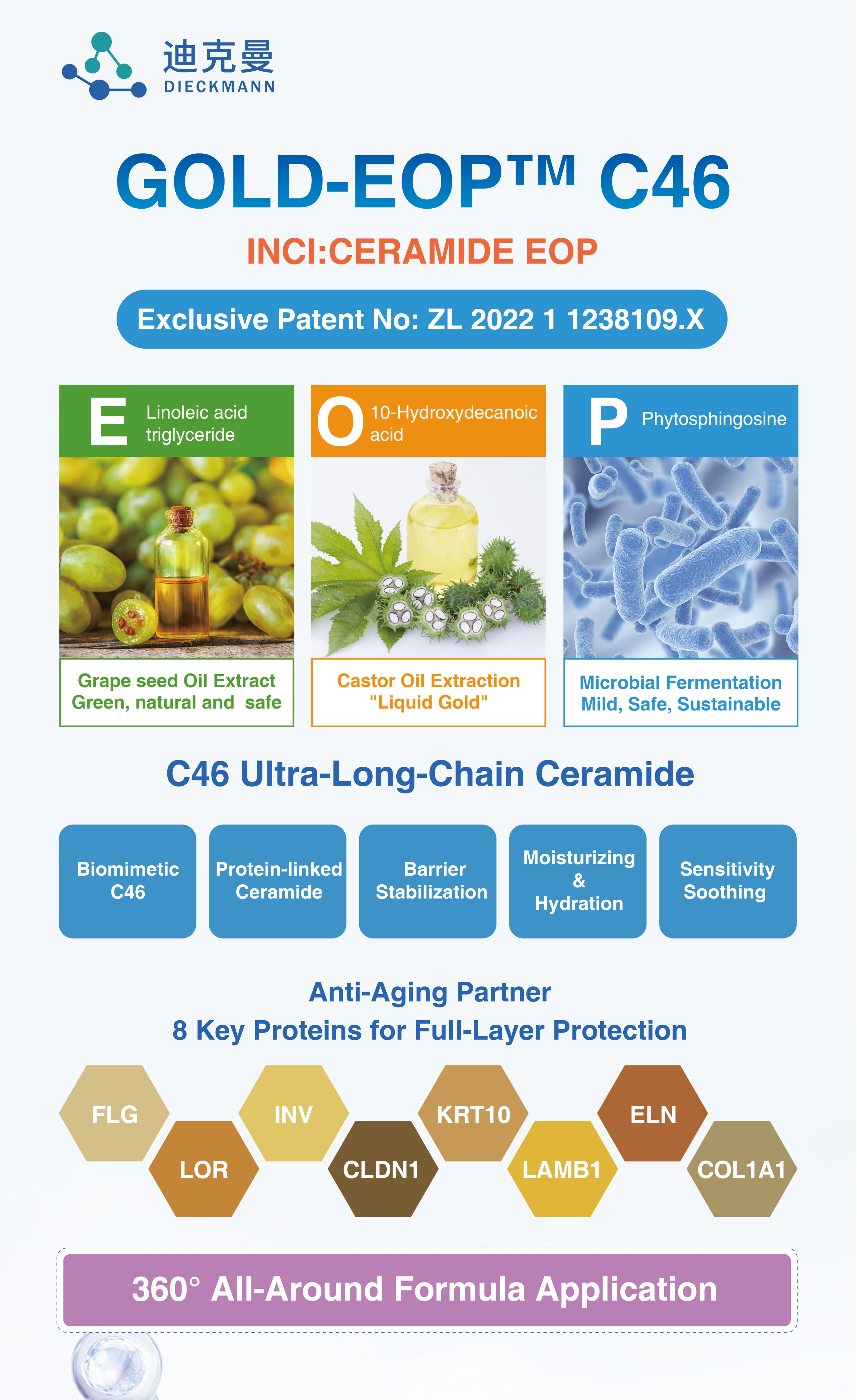 36th IFSCC | Dieckmann Presents Innovative Ceramides in Perth, Australia(图2) 36th IFSCC | Dieckmann Presents Innovative Ceramides in Perth, Australia(图2)
